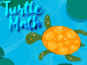 Turtle Math Online True or False Game