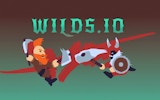 Wilds Arena Battle Game