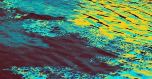 Deep Sea Mining Watchdog Leaks Video of Sediment Discharge