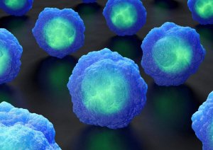 New Stem Cell Type Could Recreate Early Embryo Development